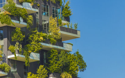 Neutralidad de CO2 para el año 2050